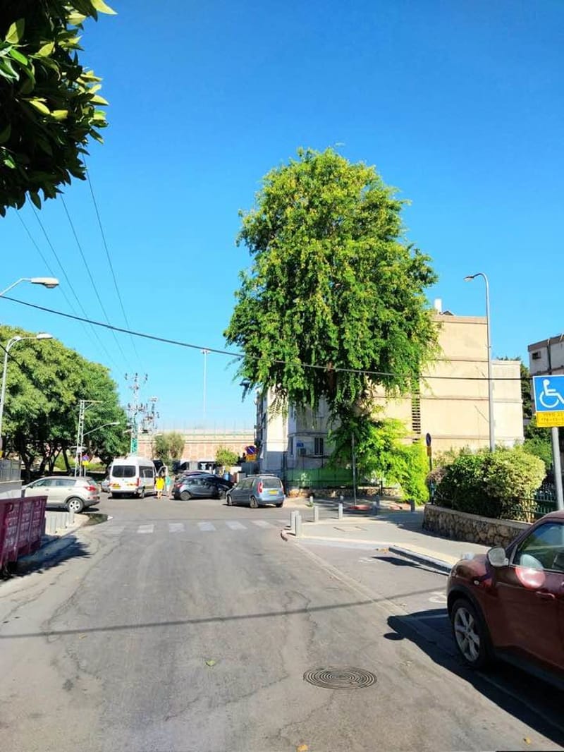 תמונה מפייסבוק – 3 חדרים • 5,300 ₪, האסיף 12, שפירא, תל אביב (1)