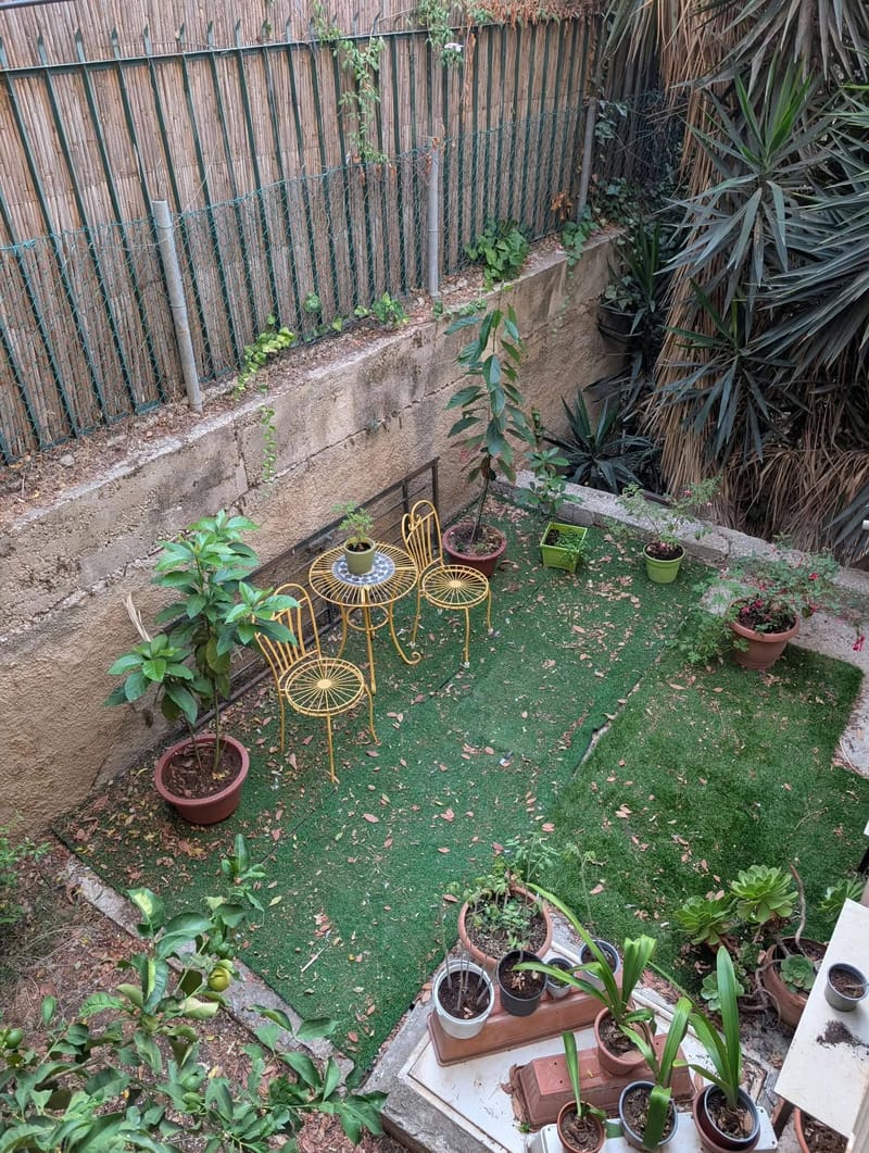 Photo from Facebook – Room in a shared apartment • ₪1,800, Greek Colony, Jerusalem (1)