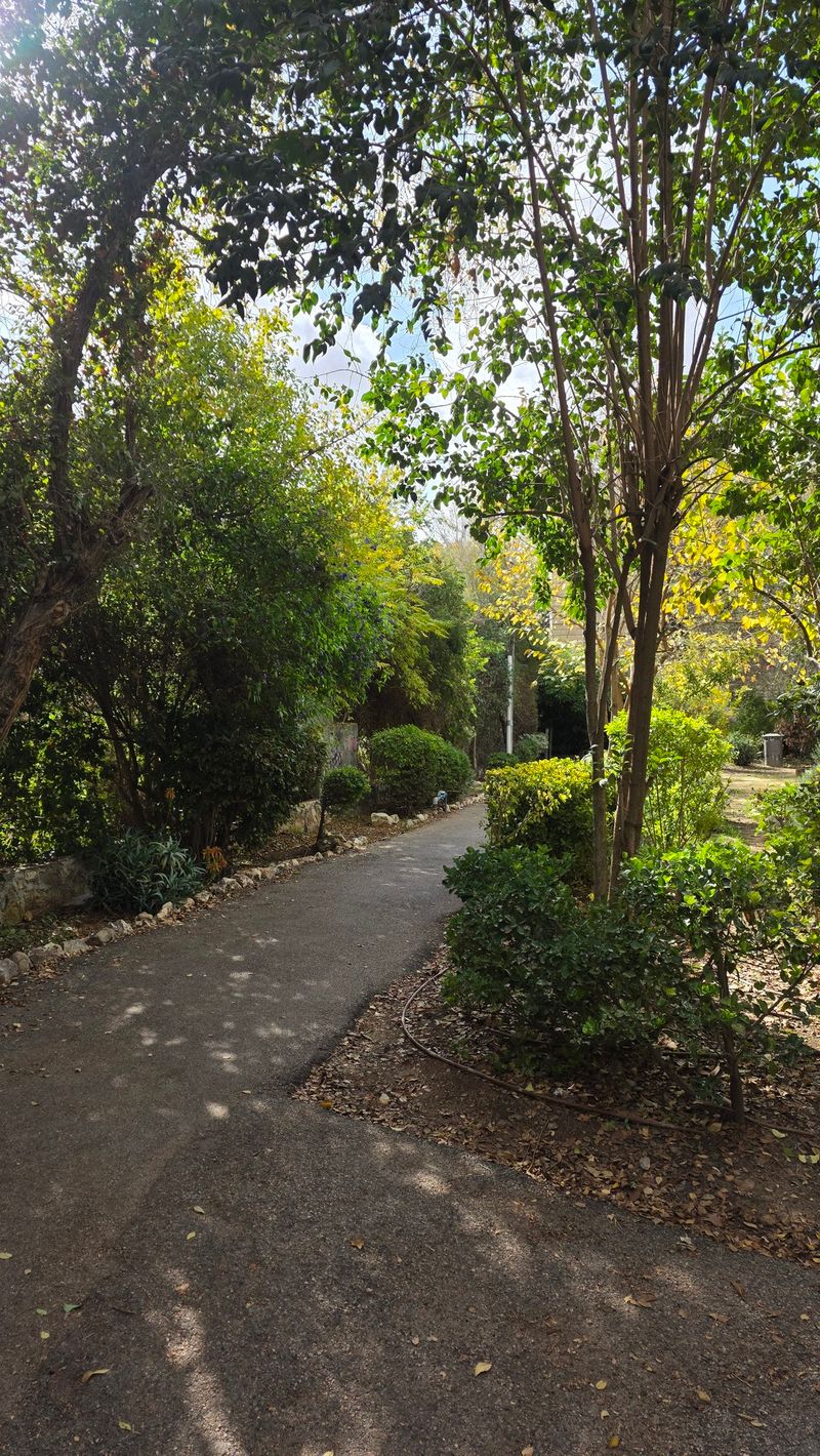 תמונה מפייסבוק – 3 חדרים • 2,850,000 ₪, המייסדים, בית הכרם, ירושלים (1)