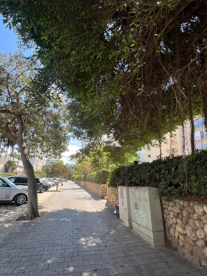 תמונה מפייסבוק – 5 חדרים • 14,800 ₪, כוכב הצפון, תל אביב (1)