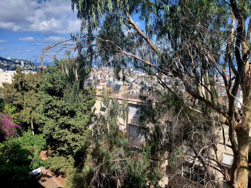 תמונה מפייסבוק – 3 חדרים • 3,600 ₪, נתיב חן, נווה שאנן, חיפה (1)