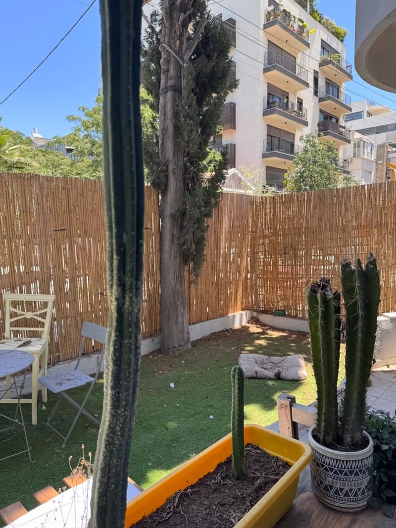 3 חדרים • 6,500 ₪ - Image 4