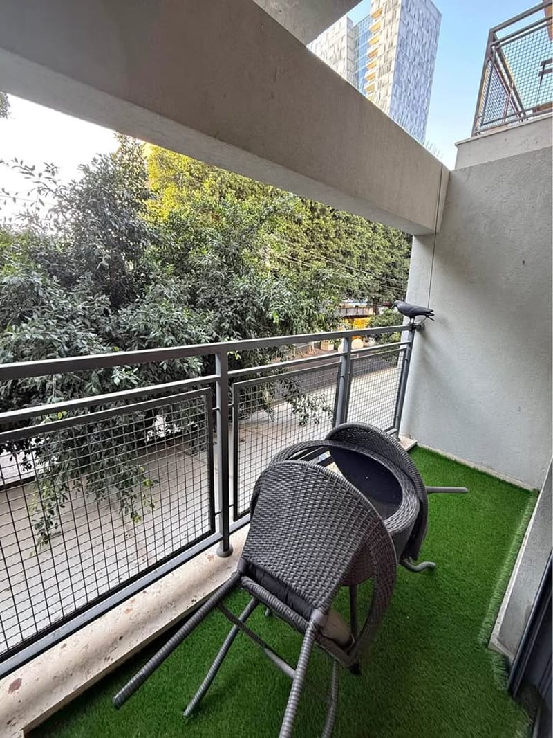 תמונה מפייסבוק – 2 חדרים • 7,500 ₪, דיזנגוף/ארלוזורוב, הצפון הישן - החלק הצפוני, תל אביב (1)