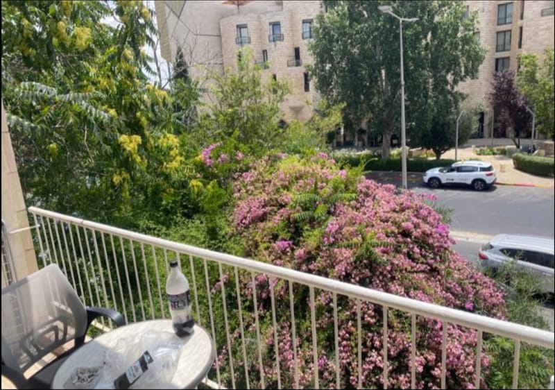 תמונה מפייסבוק – מספר החדרים לא צוין • 10,900 ₪, רחביה, ירושלים (1)