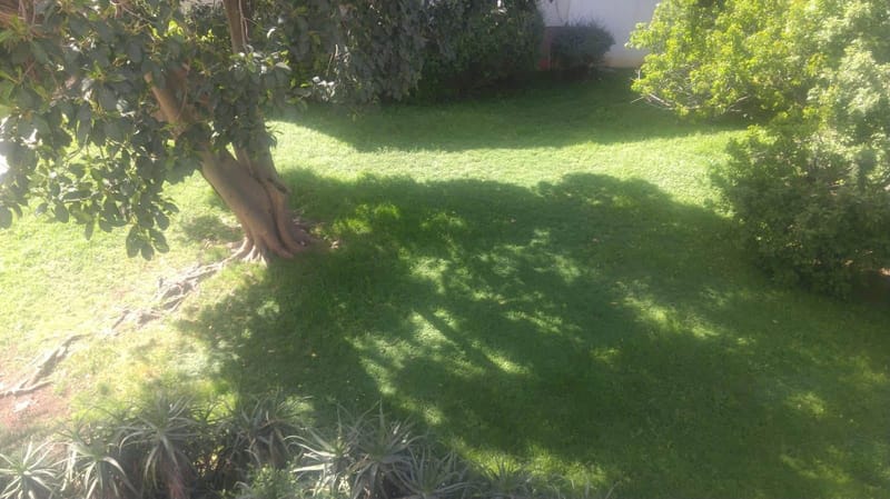 Photo from Facebook – 4 Rooms with roommates • ₪1,470, מוריה, Shambour, Haifa (1)