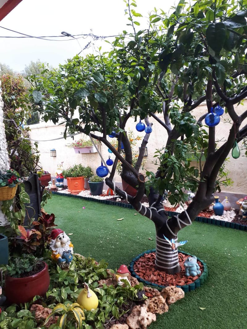 תמונה מפייסבוק – 3 חדרים • 4,500 ₪, קריית חיים מערבית, חיפה (1)