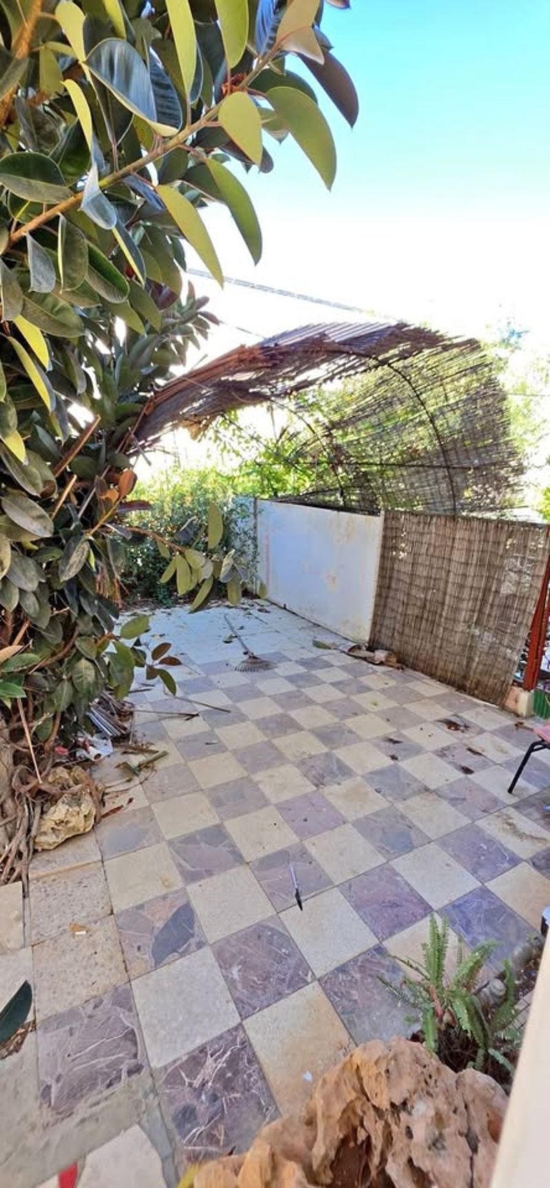 Photo from Facebook – Studio • ₪3,000, שלמה בן יוסף, Neot Shaked, Netanya (1)