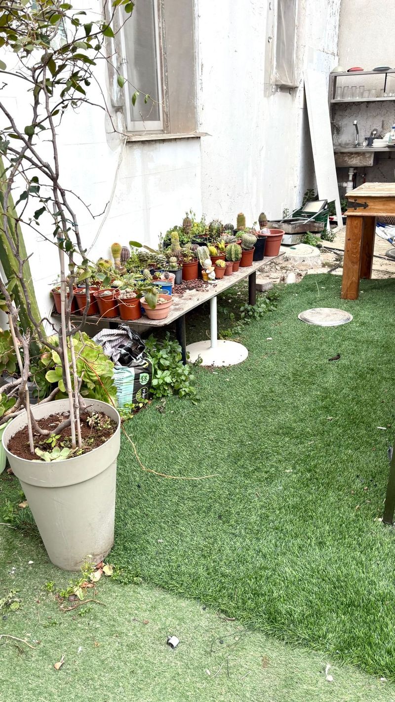 2 Rooms • ₪4,900 - Image 3