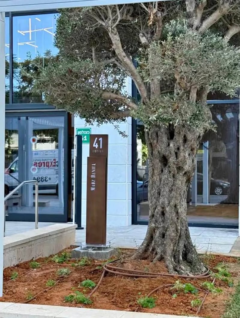 תמונה מפייסבוק – 3 חדרים • 6,200 ₪, קצנלסון 41, לב העיר, בת ים (1)