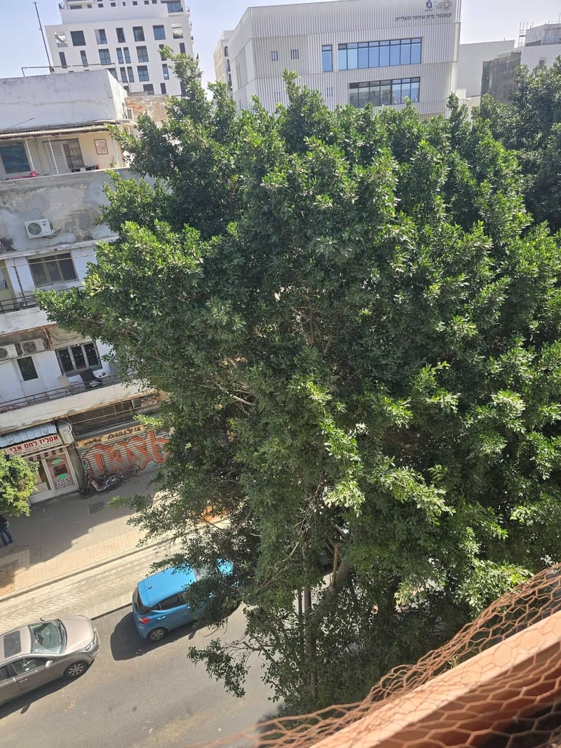 3 חדרים • 5,500 ₪ - Image 3