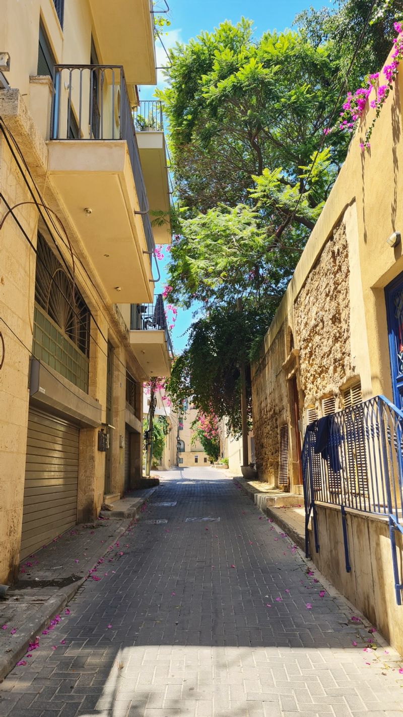 4.5 חדרים • 7,500 ₪ - Image 4