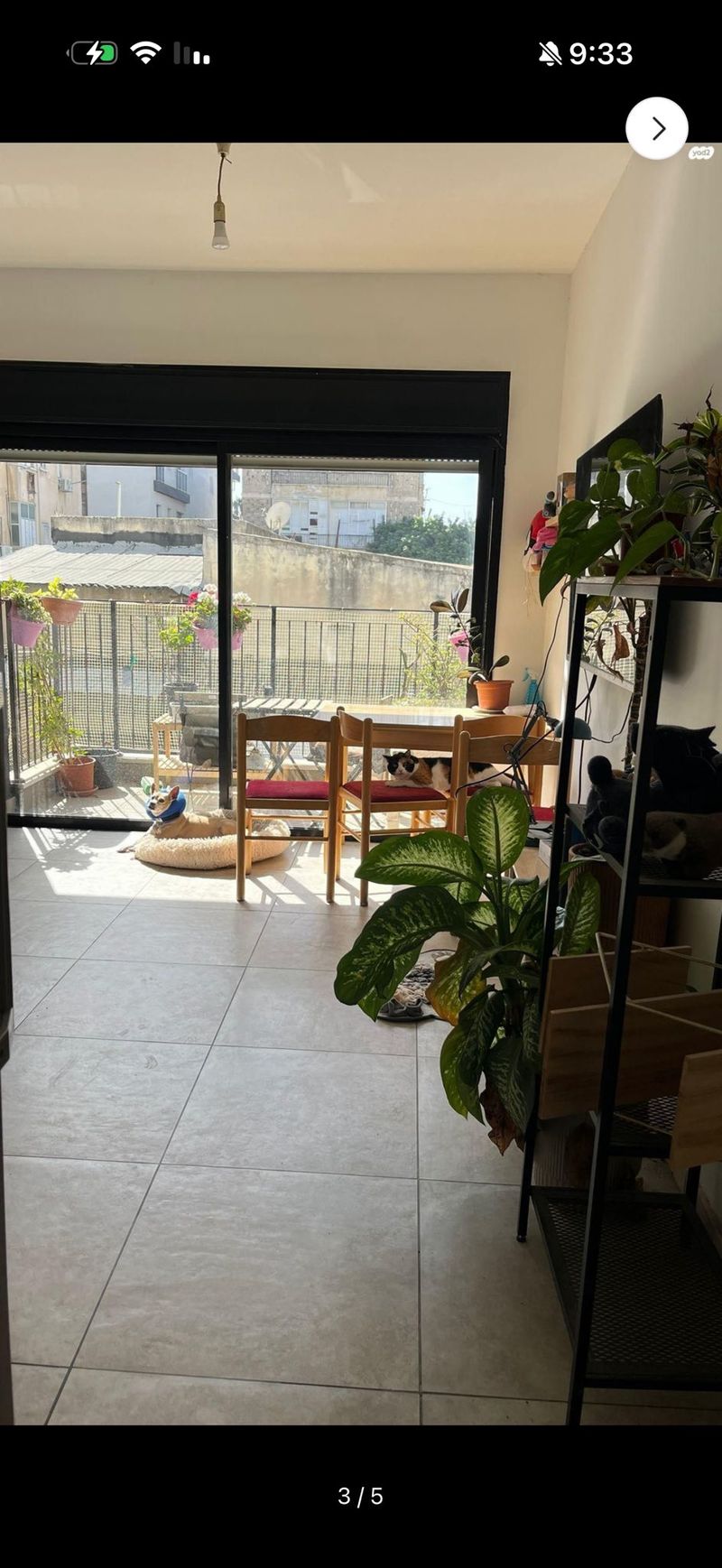 סטודיו • 5,250 ₪ - Image 3