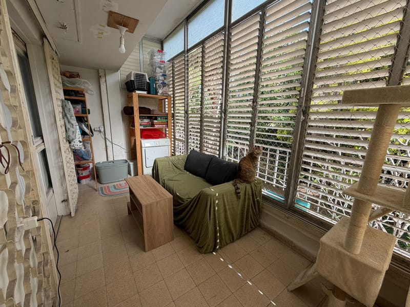 3 Rooms • ₪8,250 - Image 1