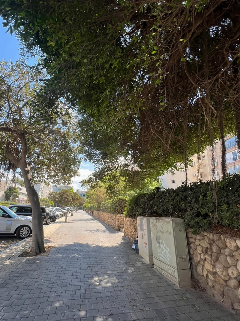 תמונה מפייסבוק – 5 חדרים • 14,800 ₪, הצפון הישן - החלק הצפוני, תל אביב (1)