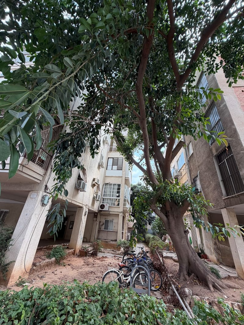 תמונה מפייסבוק – 3.5 חדרים • 4,000 ₪, לסקוב 14, גני שרונה, תל אביב (1)