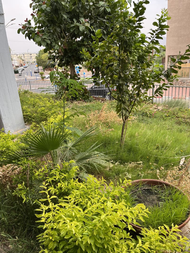 תמונה מפייסבוק – 3.5 חדרים • 4,100 ₪, עפרוני, גילה, ירושלים (1)