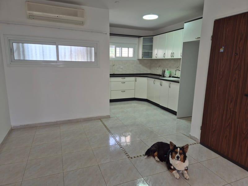 3 Rooms • ₪4,900 - Image 1