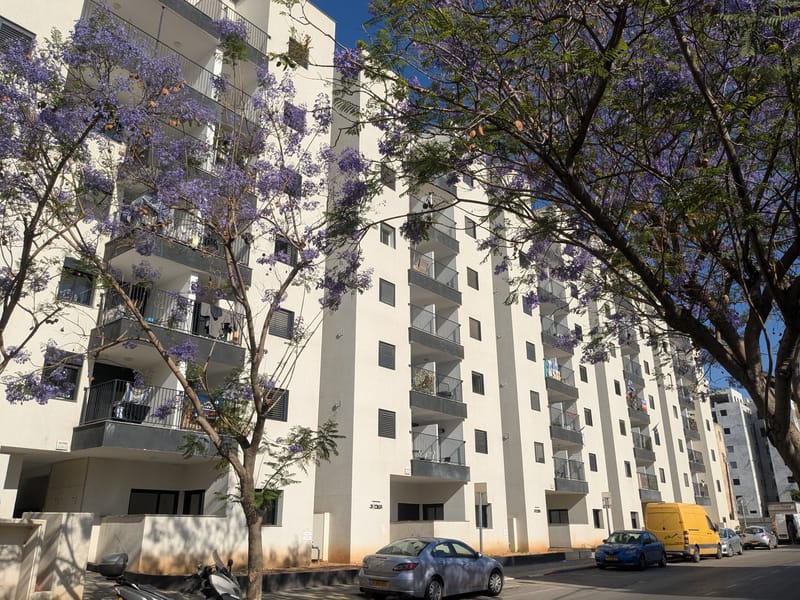 4 Комнаты • 6,800 ₪ - Image 1