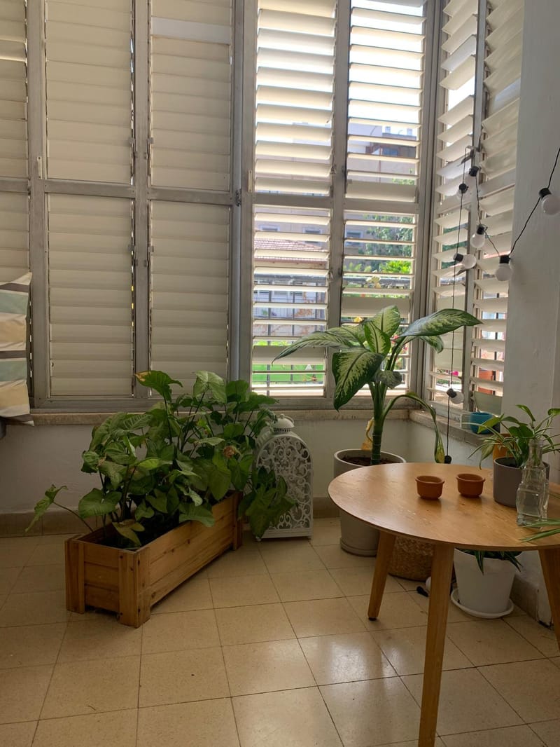 2 חדרים • 6,000 ₪ - Image 1