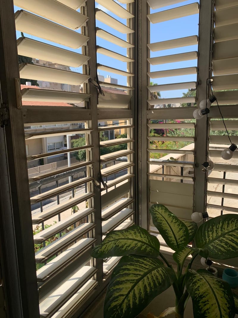 2 חדרים • 6,000 ₪ - Image 5