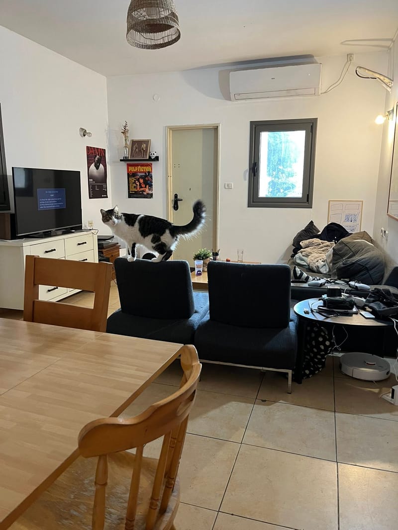 חדר בדירת שותפים • 2,950 ₪ - Image 2