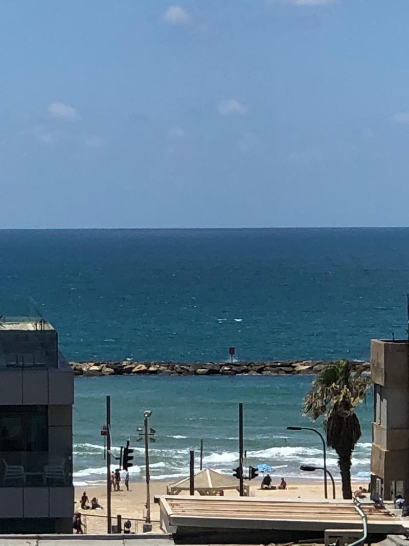 4 Rooms • ₪16,500 - Image 1