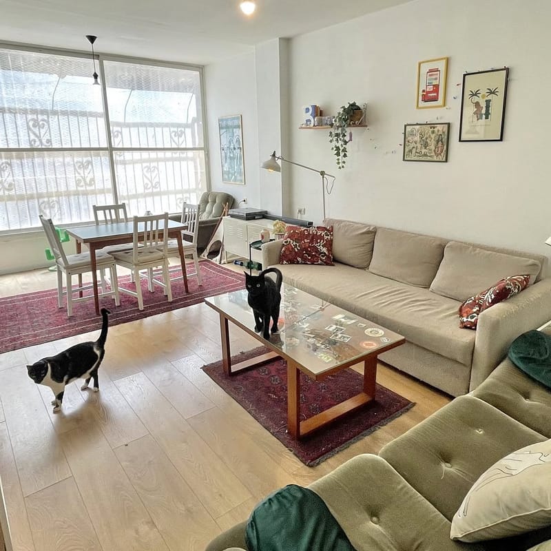 2 חדרים • 7,900 ₪ - Image 1