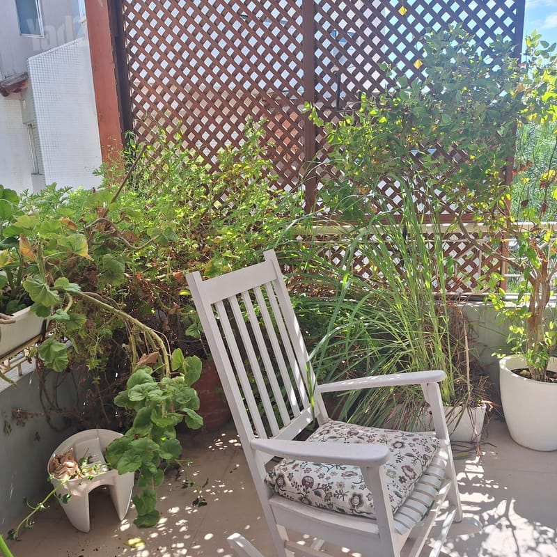 תמונה מיד2 – 5 חדרים • 8,400 ₪, פשוש 4, גני השרון, כפר סבא (1)
