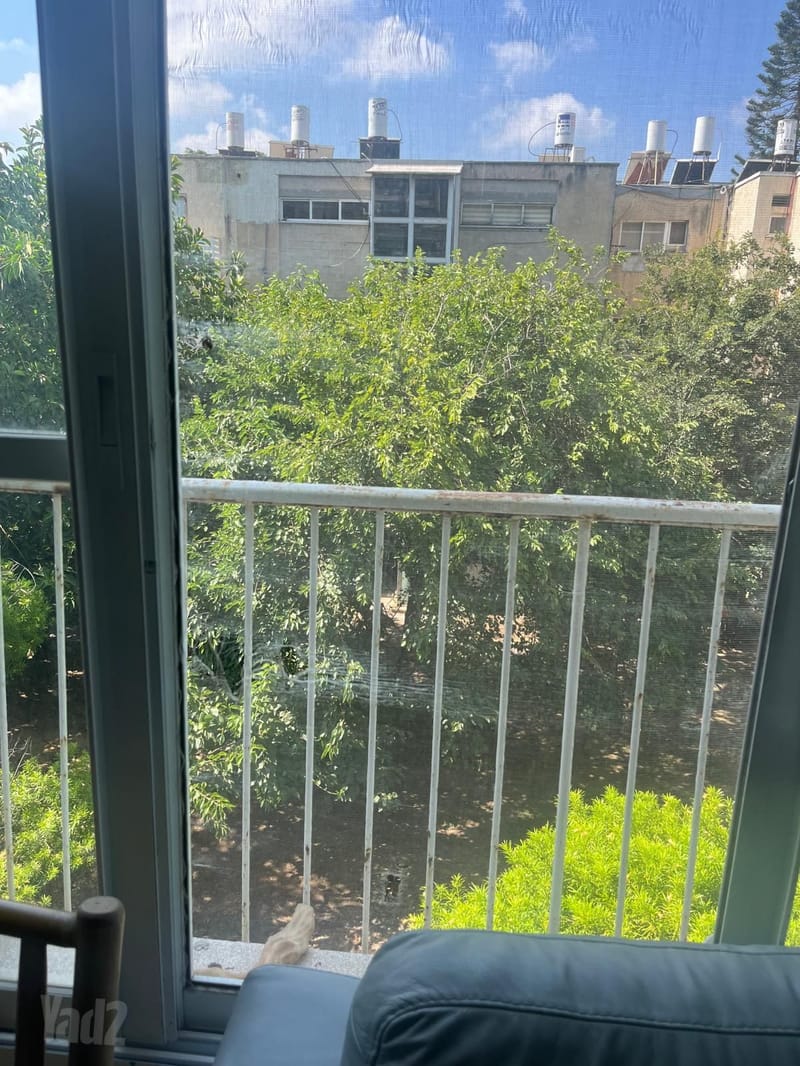תמונה מיד2 – 4 חדרים • 8,500 ₪, פיכמן 21, רמת אביב, תל אביב (1)