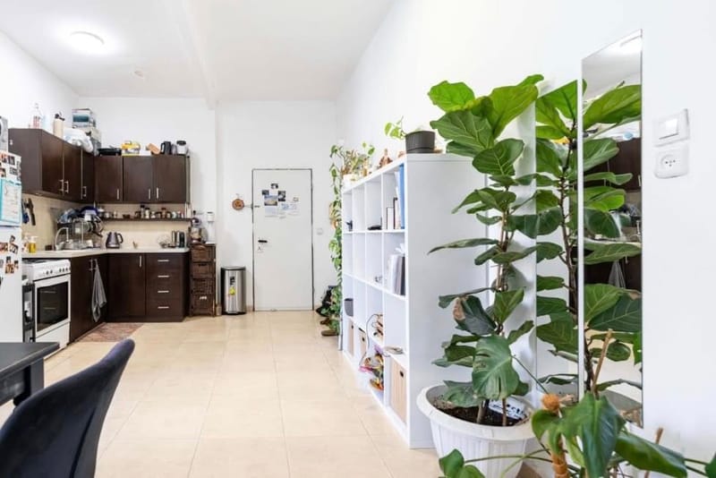 3 חדרים • 5,500 ₪ - Image 2