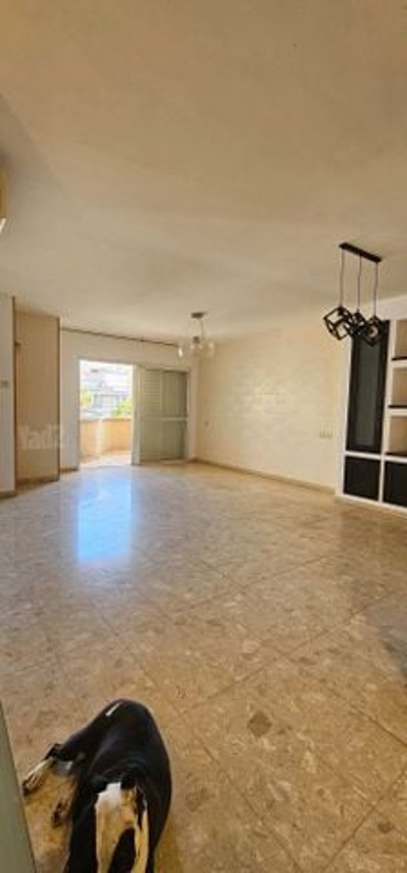 תמונה מפייסבוק – 5 חדרים • 6,900 ₪, רבינוביץ, בן-גוריון, חולון (1)