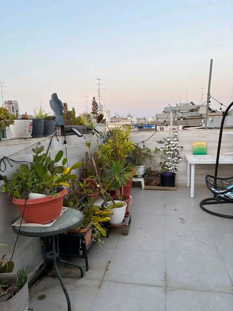 תמונה מפייסבוק – 5 חדרים • 6,500 ₪, קרית שמונה, קריית שרת מערב, חולון (1)