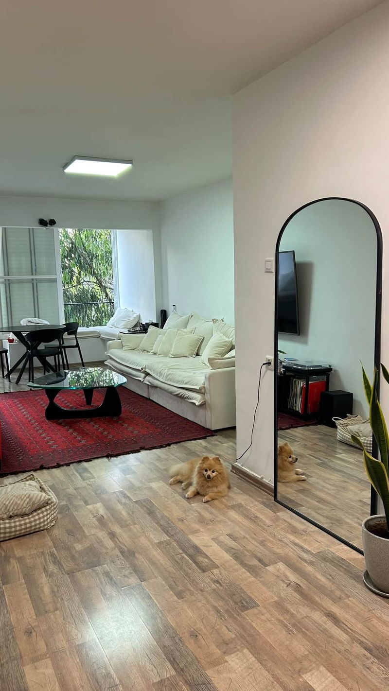 תמונה מפייסבוק – 3.5 חדרים • 7,000 ₪, מרכז העיר, רמת גן (1)