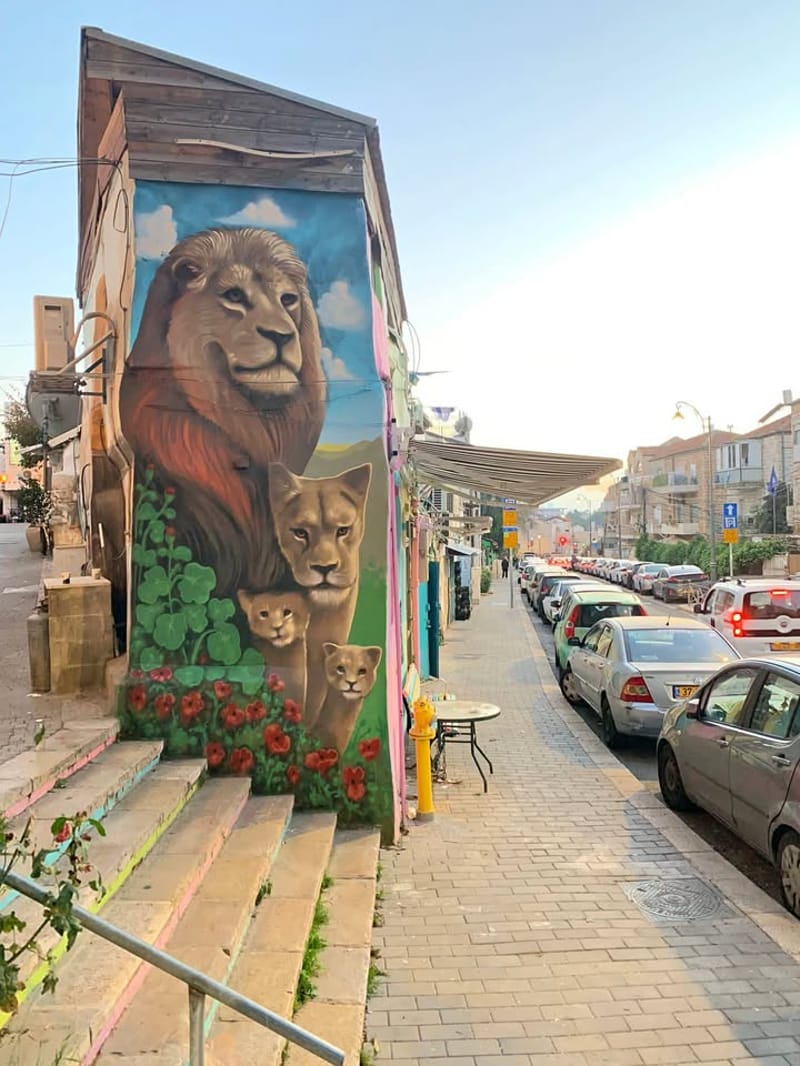 תמונה מפייסבוק – 2 חדרים • 4,500 ₪, Nissim Bechar 17, נחלאות, שערי חסד, ירושלים (1)