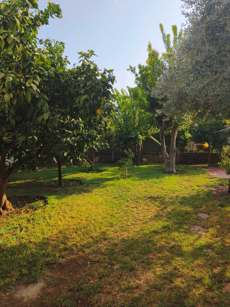 תמונה מפייסבוק – 2 חדרים • 3,900 ₪, יוסף קארו, מרכז, הרצליה (1)