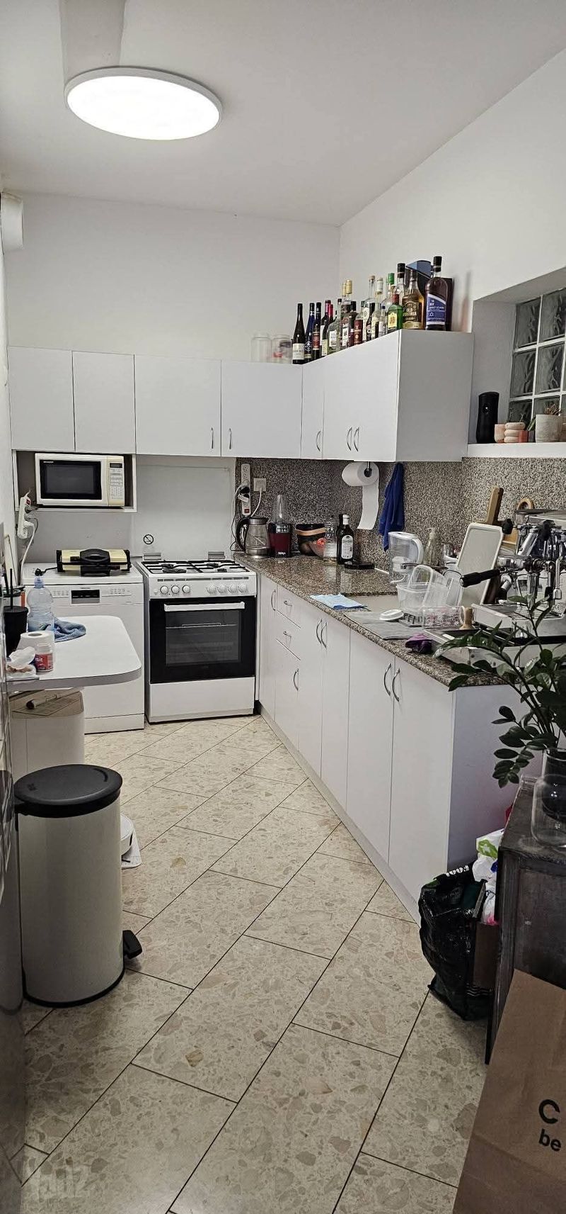 תמונה מיד2 – 3 חדרים • 7,000 ₪, אלכסנדר סשה ארגוב 13, המשתלה, תל אביב (1)