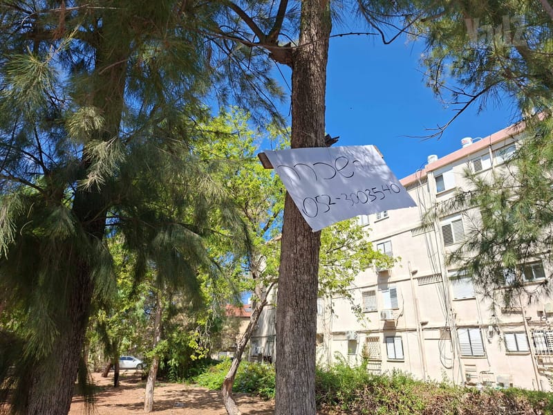 Photo from Yad2 – 2 Rooms • ₪1,800, שדרות ורבורג 9, Kiryat Shmuel, Haifa (1)