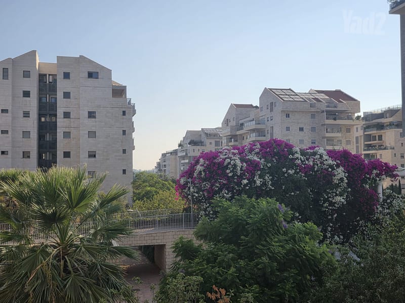 תמונה מיד2 – 4.5 חדרים • 3,875,000 ₪, יאיר רוזנבלום 13, הזמר העברי, כפר סבא (1)