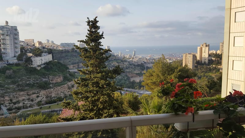 תמונה מיד2 – 4 חדרים • 5,300 ₪, משה גוט לוין 30, רמת ספיר, חיפה (1)