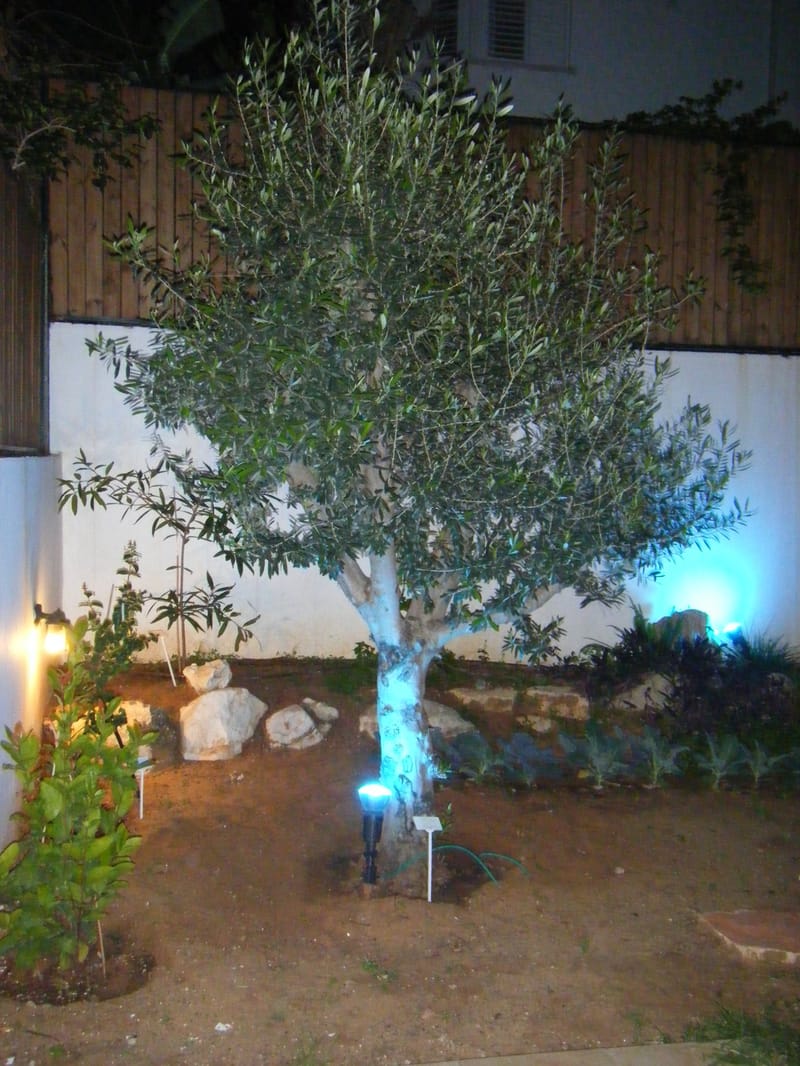 תמונה מפייסבוק – 2 חדרים • 3,300 ₪, נווה ים, ראשון לציון (1)