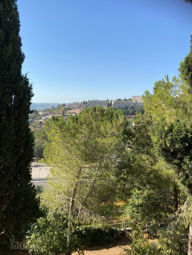 תמונה מיד2 – 3 חדרים • 4,700 ₪, פסח חברוני 120, עין כרם, ירושלים (1)