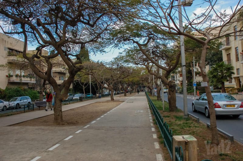 תמונה מיד2 – 3.5 חדרים • 19,500 ₪, שדרות רוטשילד, לב תל אביב, תל אביב