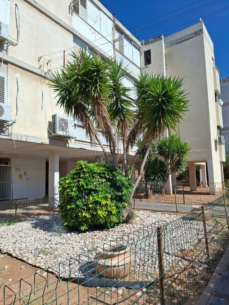 תמונה מיד2 – 4 חדרים • 6,000 ₪, דוד אלעזר, אבן גבירול, רחובות (1)