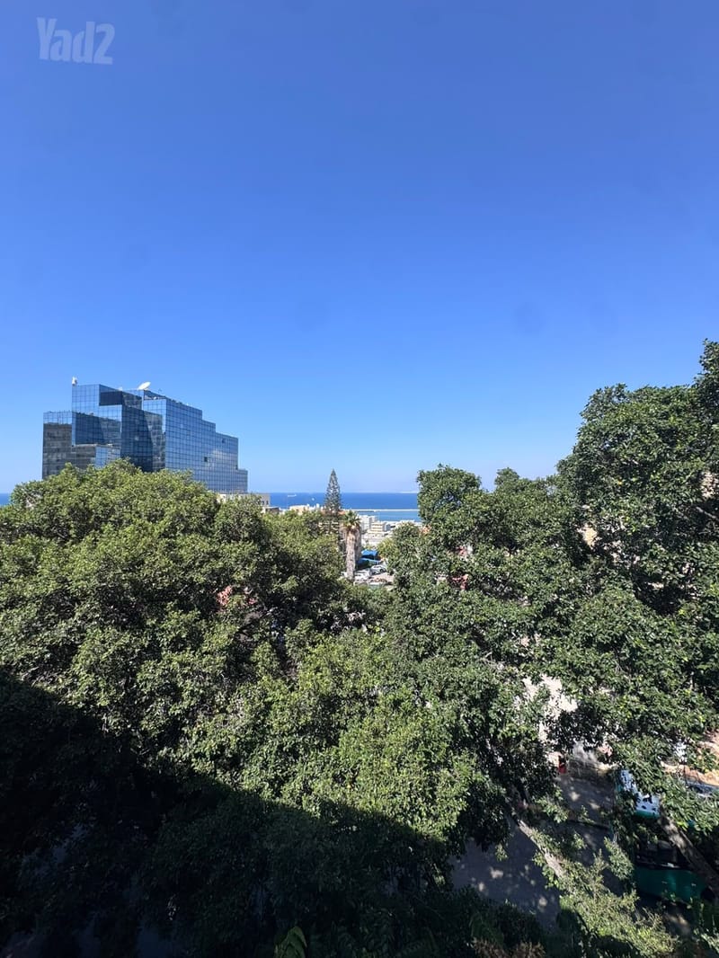 תמונה מיד2 – 3 חדרים • 2,400 ₪, חיפה (1)