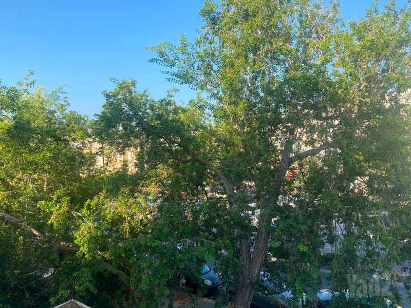 תמונה מיד2 – 2 חדרים • 1,430,000 ₪, שדרות זלמן שניאור, רמת אליהו, ראשון לציון (1)