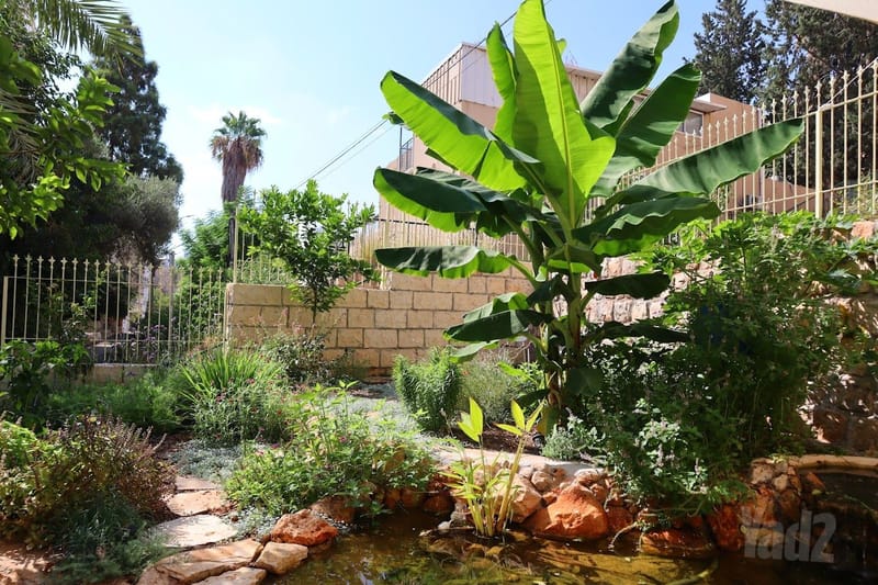 תמונה מיד2 – 3 חדרים • 5,000 ₪, מדרגות שוקרי 14, ואדי סאליב (עיר תחתית מזרח), חיפה (1)
