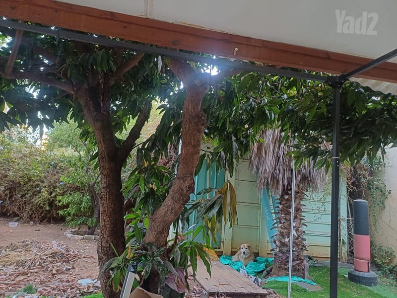 תמונה מיד2 – 3 חדרים • 6,200 ₪, ארלוזורוב 14, השכונה הוותיקה, גבעת שמואל (1)
