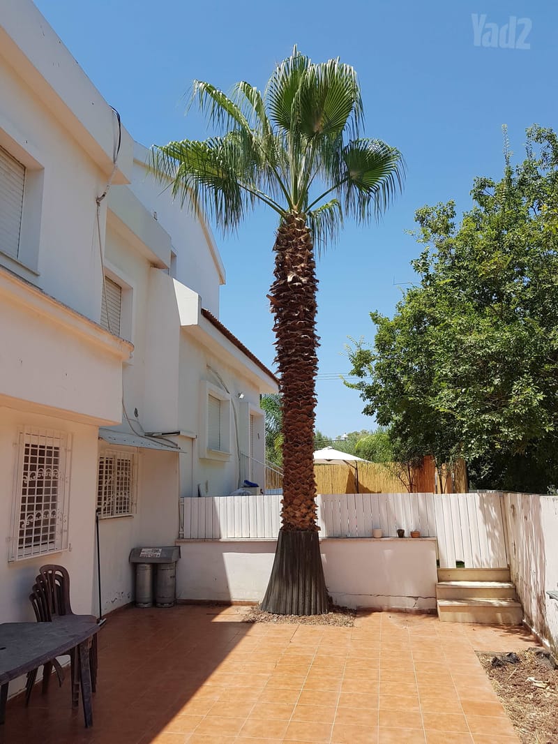Фото с Yad2 – 3 Комнаты • 5,100 ₪, משה שרת 81, Кирьят-Биньямин, Кирьят-Ата (1)
