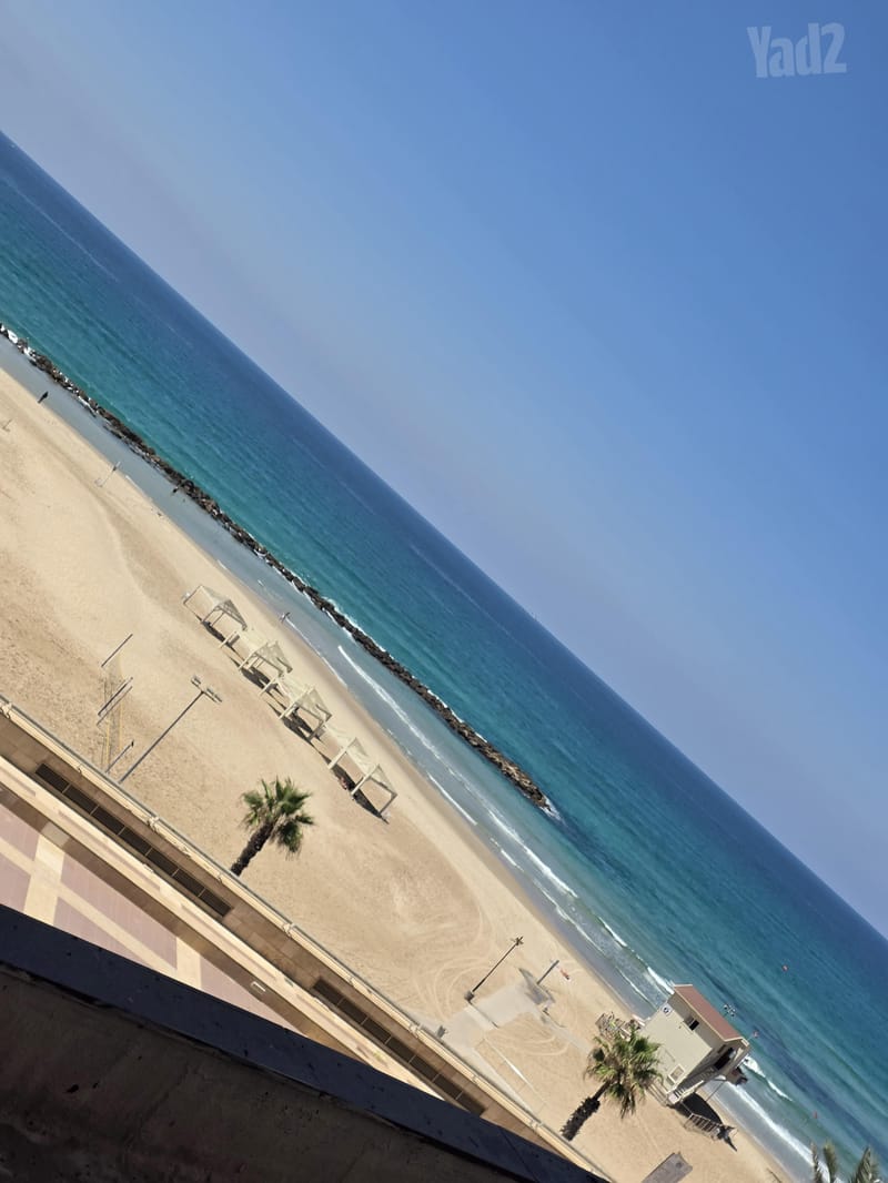 תמונה מיד2 – 3 חדרים עם שותפים • 4,500 ₪, דוד אלעזר 10, חוף הכרמל, חיפה (1)