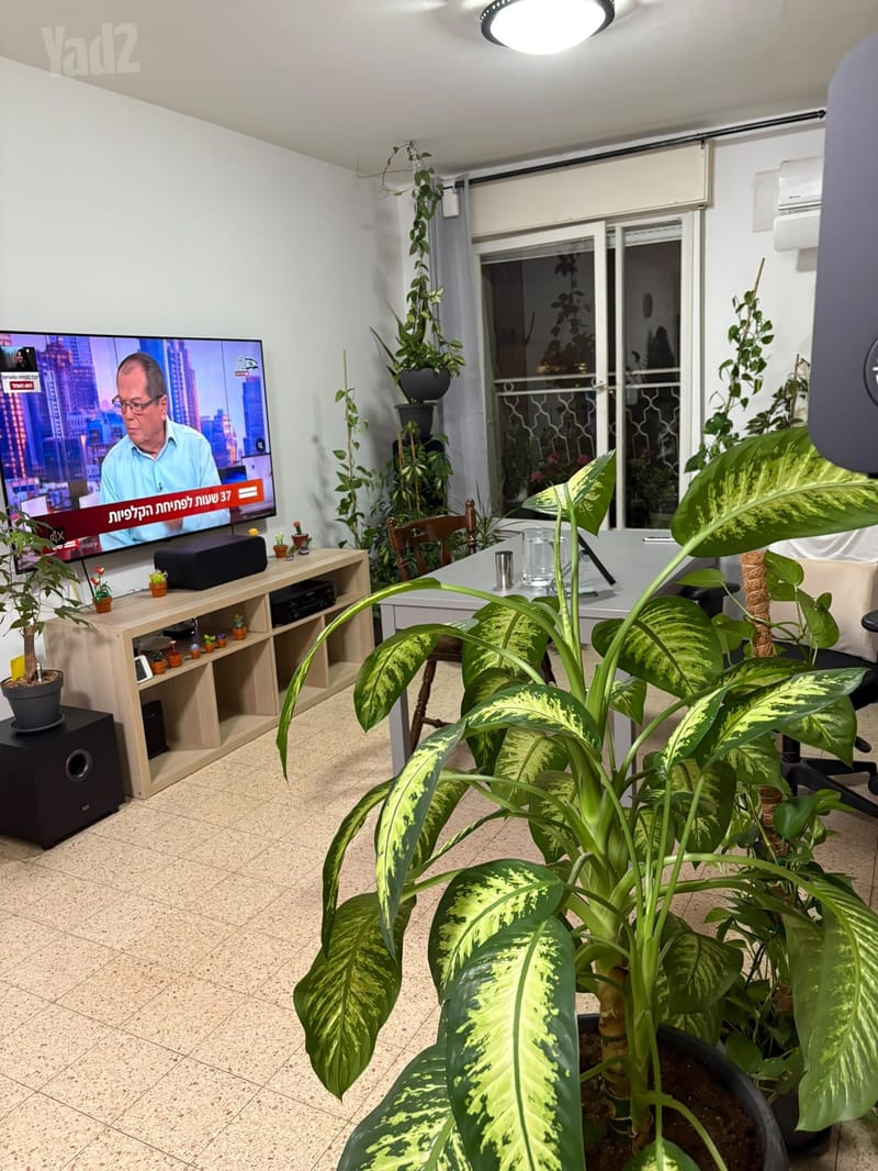 תמונה מיד2 – 2 חדרים • 4,100 ₪, מפרץ שלמה 27, קריית שרת מערב, חולון (1)